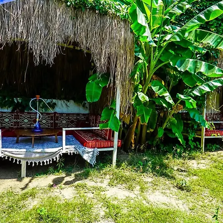 Hotel Nex Royal Beach